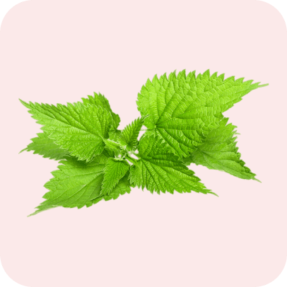 Product component image